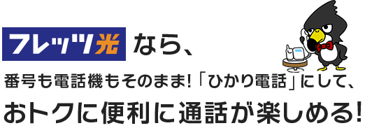 フレッツ光なら、番号も電話機もそのまま！「ひかり電話」にして、お得に便利に通話が楽しめる！