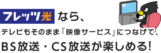 フレッツ光なら、テレビもそのまま「映像サービス」につなげて、BS放送・CS放送が楽しめる！