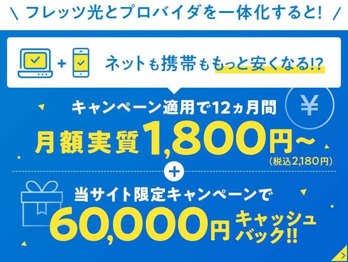 フレッツ光 Ntt西日本 インターネット光回線 フレッツ光 Ntt西日本 インターネット光回線